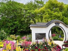 -上海共青森林公园