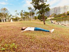 -宝安西湾红树林湿地公园