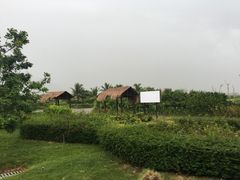 -亚龙湾国际玫瑰谷