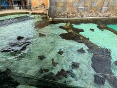 -新加坡水上探险乐园