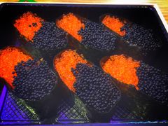 -美食小镇·观赏珍稀鸟类·长隆熊猫酒店