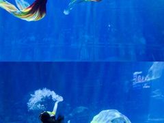 -华夏文旅西安度假区