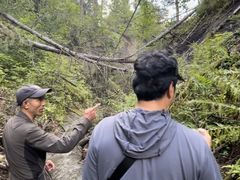 -峡谷浮石林景区