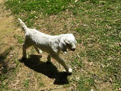 -福建鲤鱼洲酒店