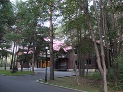-汤旺河林海奇石景区