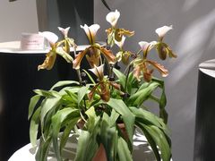 -北京植物园-展览温室