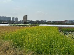 -小塘渔村(开平大道店)