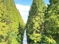 -黄海国家森林公园