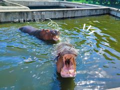 -哈尔滨北方森林动物园