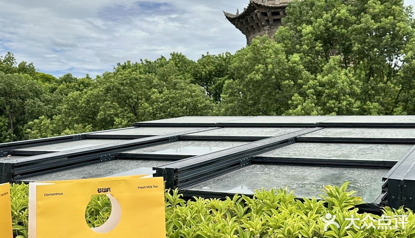 莓超疯又一西街特别主题店来啦!