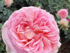 -人民公园(罗湖区)