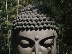 -杭州植物园