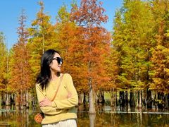 -白鹭湾湿地公园