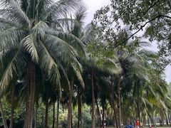 -白沙门生态公园