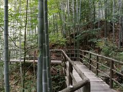 -山沟沟景区