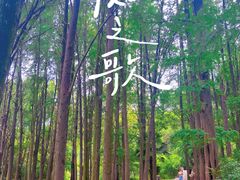 -同里国家湿地公园