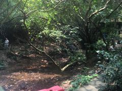 -滴水岩森林公园