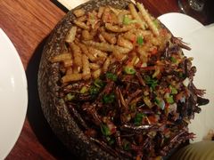 -慢丽江·云南野生菌土鸡锅(付家庄店)