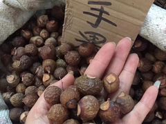 -广西医科大学第一附属医院