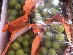 -西郊国际农产品交易中心
