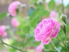 -龙达温泉生态城