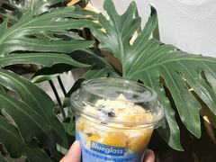 -Blueglass酸奶(财富购物中心店)