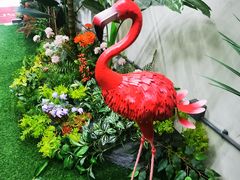 -苏州5D星空错觉艺术馆