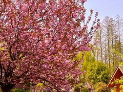 -祥源·阜阳生态乐园