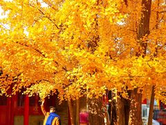 -承恩寺