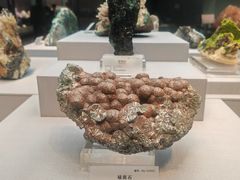 -湖南省地质博物馆