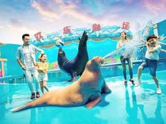 -三亚海昌梦幻海洋不夜城