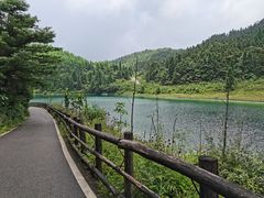 -武陵山森林公园