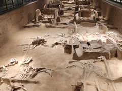 -洛阳周王城天子驾六博物馆