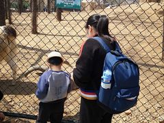 -大连森林动物园