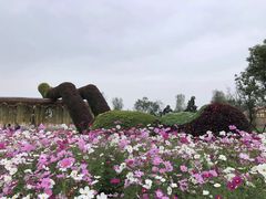 -安仁古镇