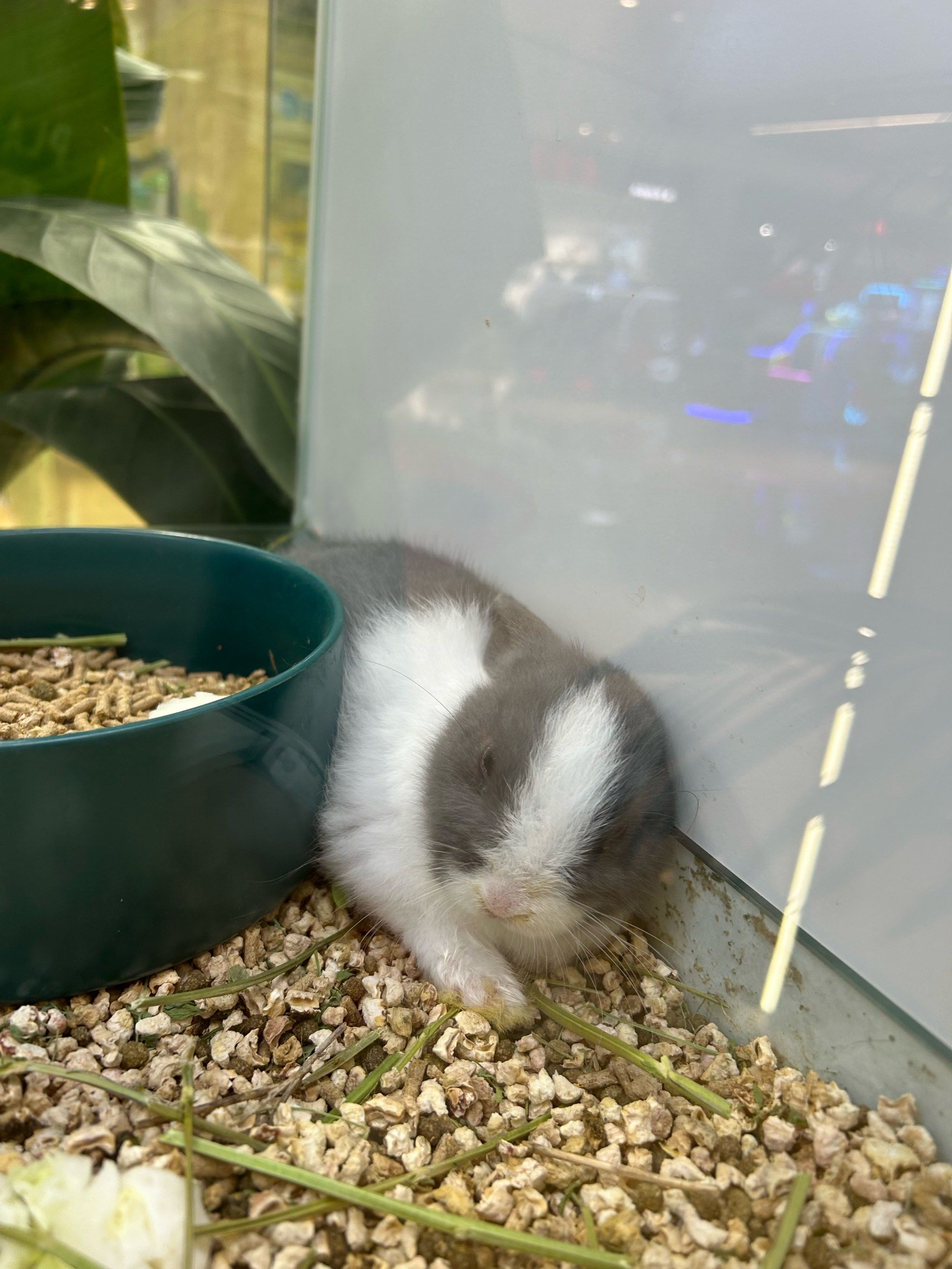 但是我大叔叔就是为儿子孙子节衣缩食啥都愿意,两个人就是纯粹的爱