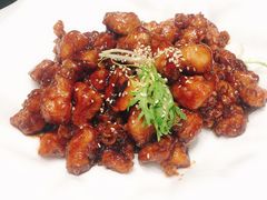-宝轩渔府·老字号海鲜·正宗津菜(水上店)