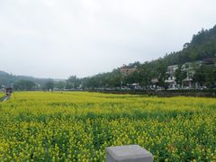 -红山村