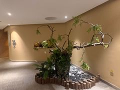 -春晖园度假酒店温泉