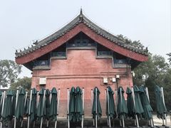 -报国寺