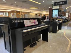 -知音艺术教育培训·钢琴培训·音乐培训(河西金鹰世界校区)