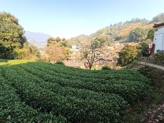 -杨家堂村