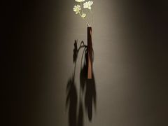 -安屿an·spa(卓悦中心商场店)