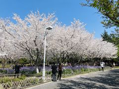 -白塘生态植物园
