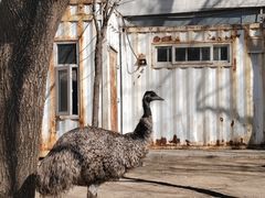 -银树楼(紫玉山庄东区店)