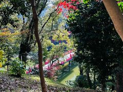 -天王寺公园