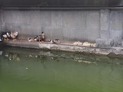 -浙江省博物馆(孤山馆区)