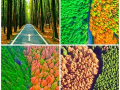 -山王坪喀斯特国家生态公园