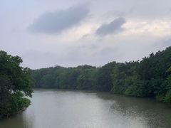 -海珠湖公园