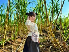 -汉长安城未央宫国家考古遗址公园